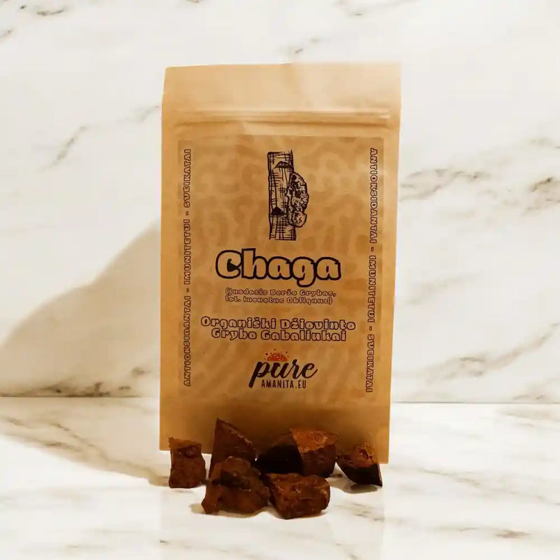 Chaga Extrakt