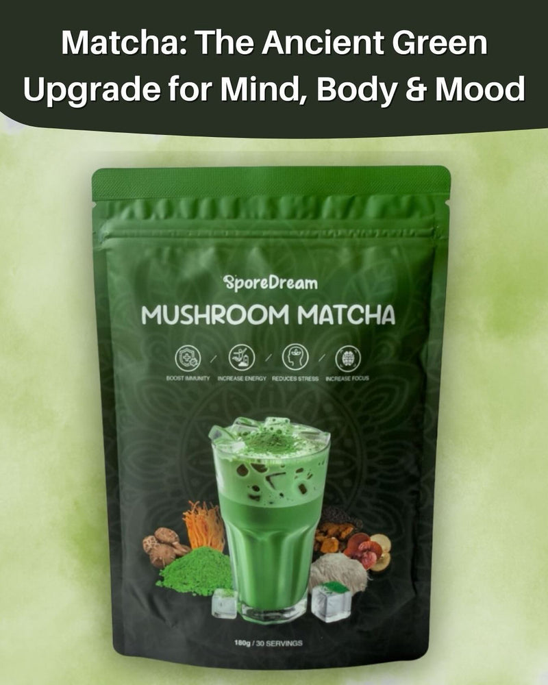 Adaptogenic Functional Mushroom Matcha
