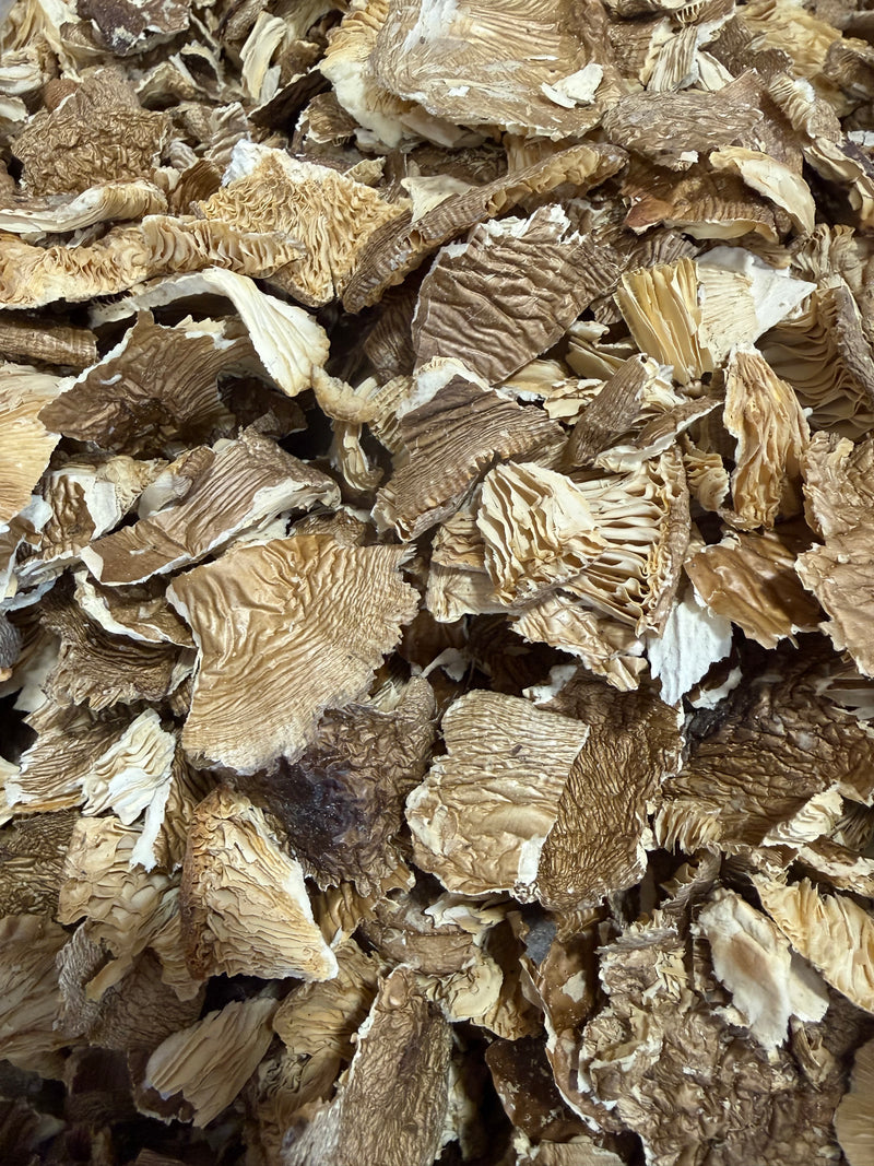 Getrocknete Pantherpilze Amanita Pantherina