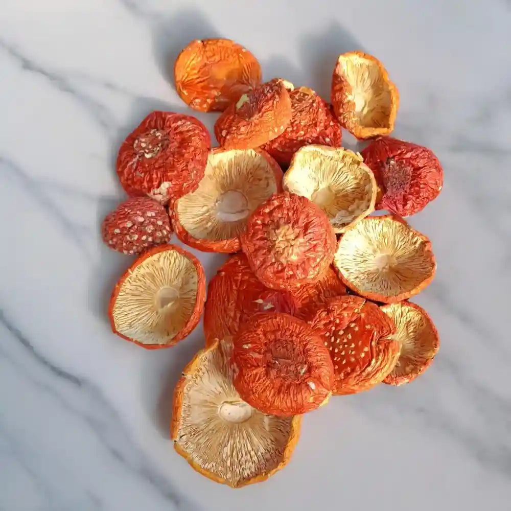 Dried Amanita Muscaria Fly Agaric Caps