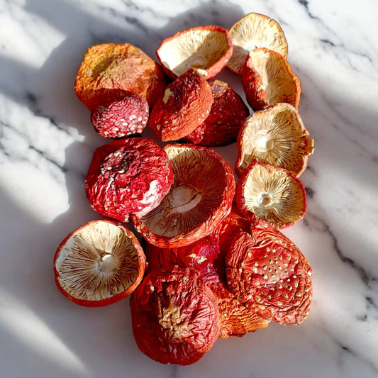 Dried Amanita Muscaria Fly Agaric Caps