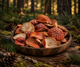 Dried Amanita Muscaria Fly Agaric Caps