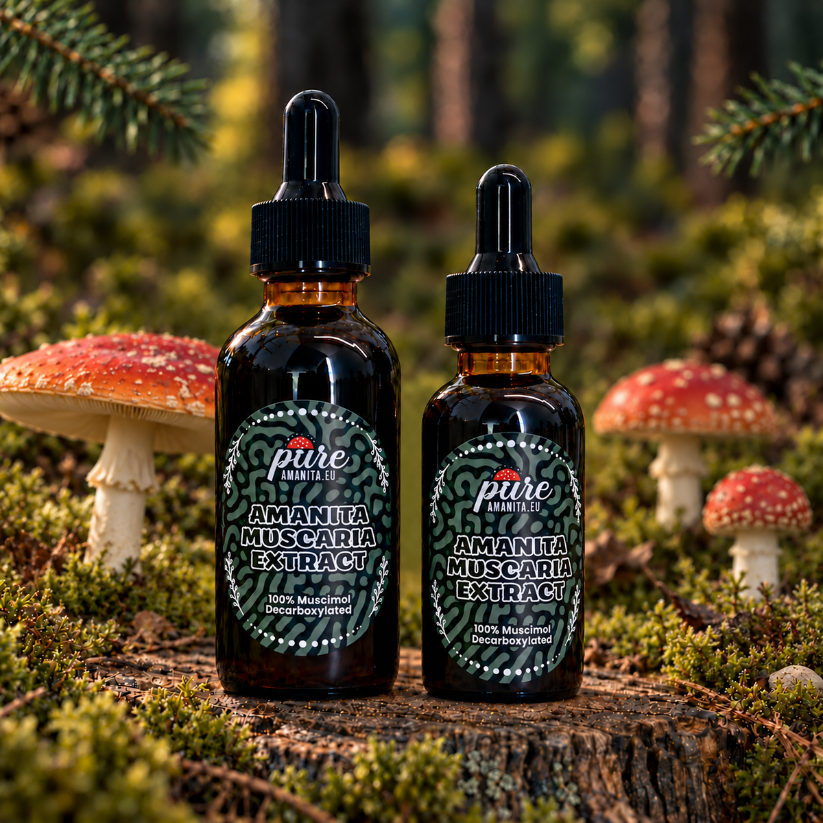 Amanita Muscaria Fly Agaric Extract Tincture Liquid