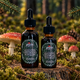 Amanita Muscaria Fly Agaric Extract Tincture Liquid