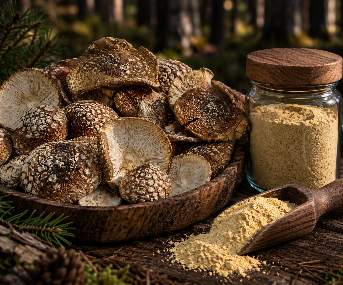 Dried Amanita Pantherina Powder (Panther Cap)