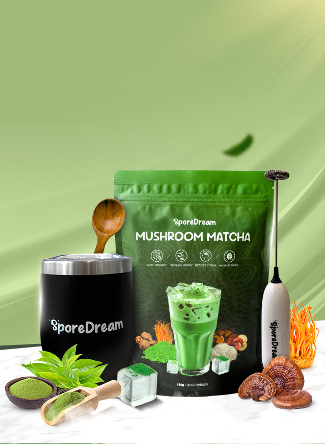 Adaptogenic Functional Mushroom Matcha